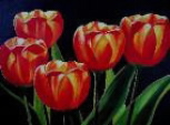 tranquiltulips