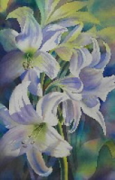 lilies