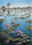 lilylagoon