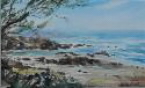 windycoast