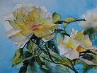 newfarmrose1