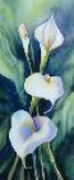 alluringarums